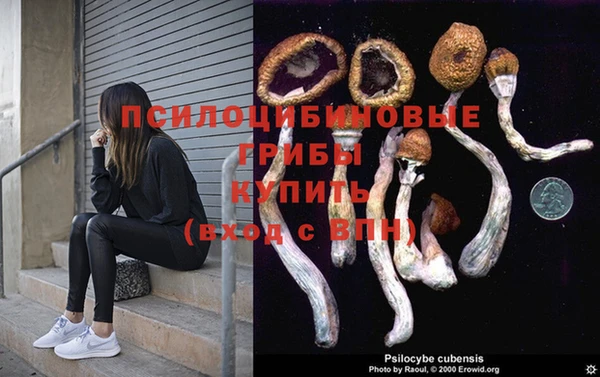 скорость Зерноград