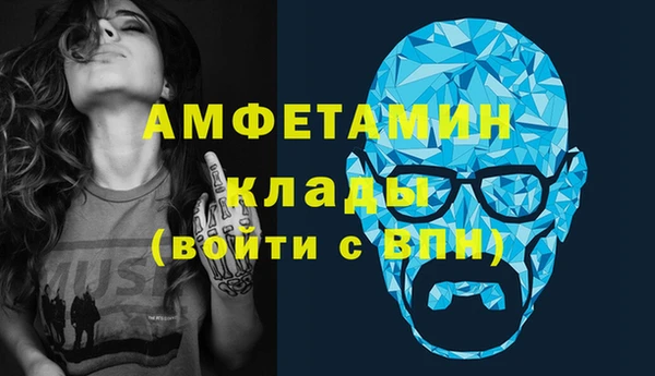 ГАЛЛЮЦИНОГЕННЫЕ ГРИБЫ Инсар
