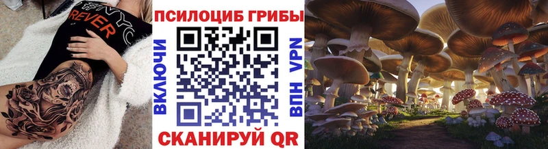 Купить закладки Новоаннинский Галлюциногенные грибы ЛСД